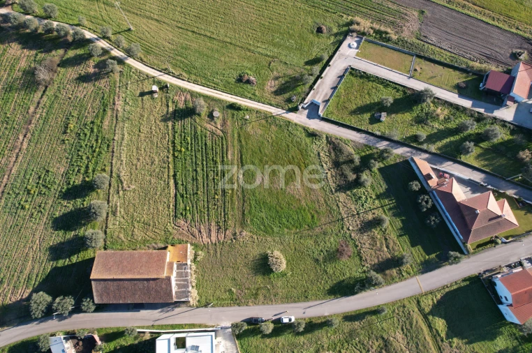 Terreno para Venda em Soure Foto 11