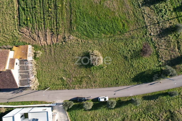 Terreno para Venda em Soure Foto 14