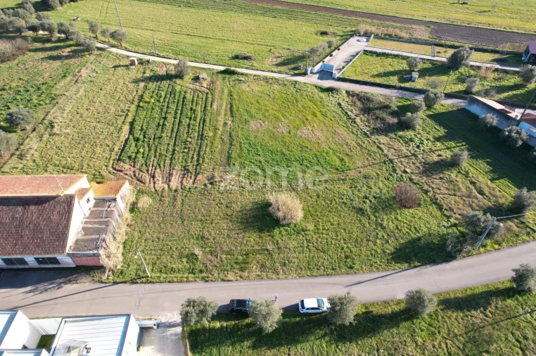 Terreno para Venda em Soure Foto 15