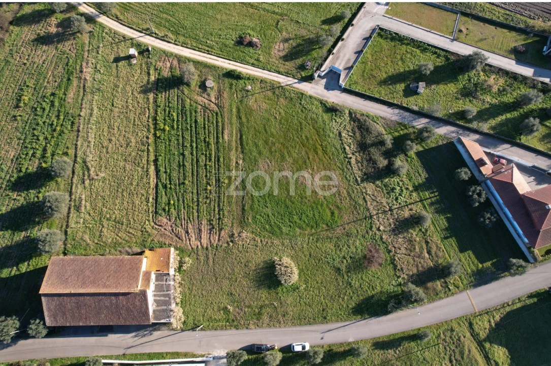 Terreno para Venda em Soure Foto 10