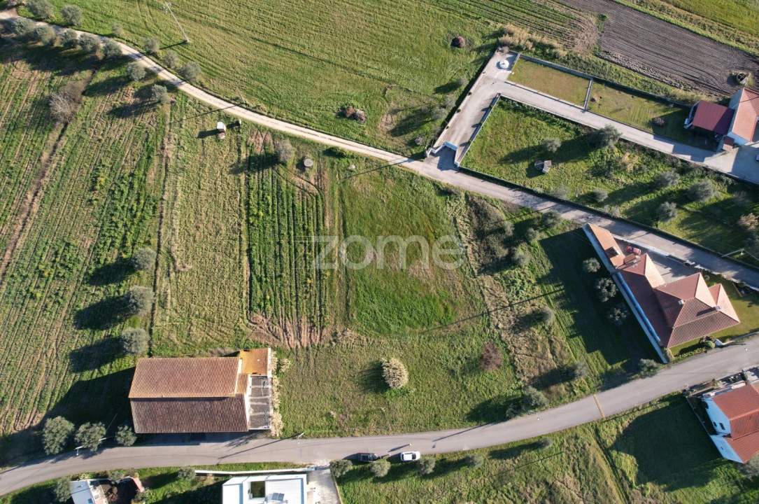 Terreno para Venda em Soure Foto 11
