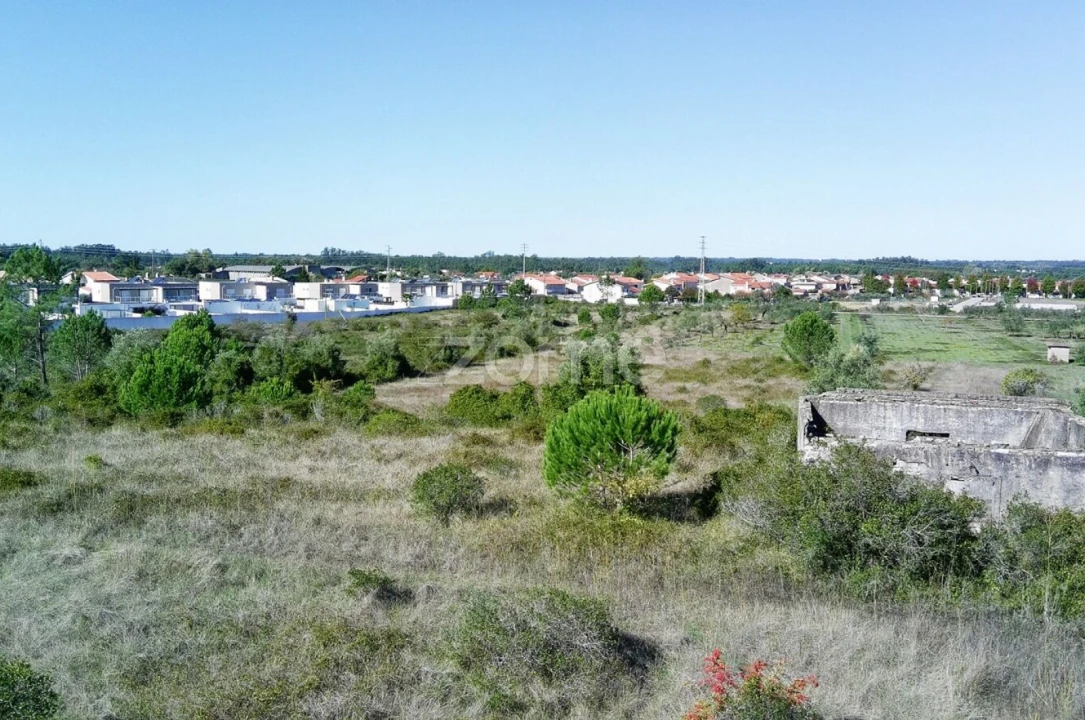 Terreno para Venda em Cantanhede e Pocariça Foto 8