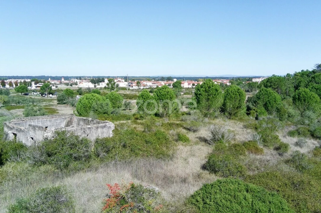 Terreno para Venda em Cantanhede e Pocariça Foto 10