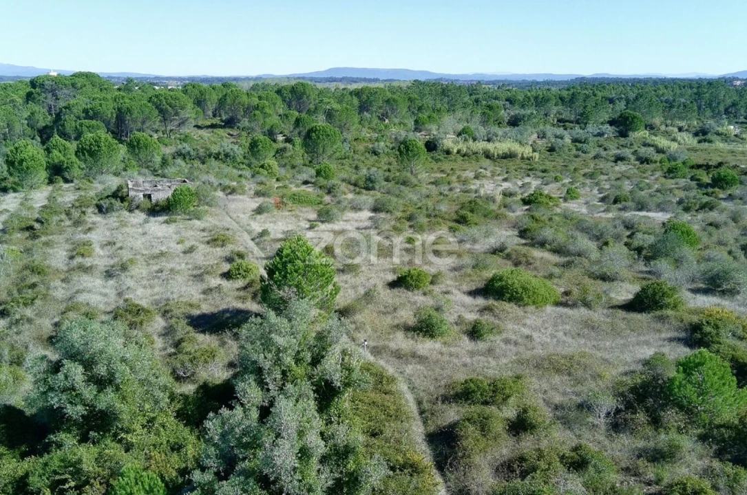 Terreno para Venda em Cantanhede e Pocariça Foto 11