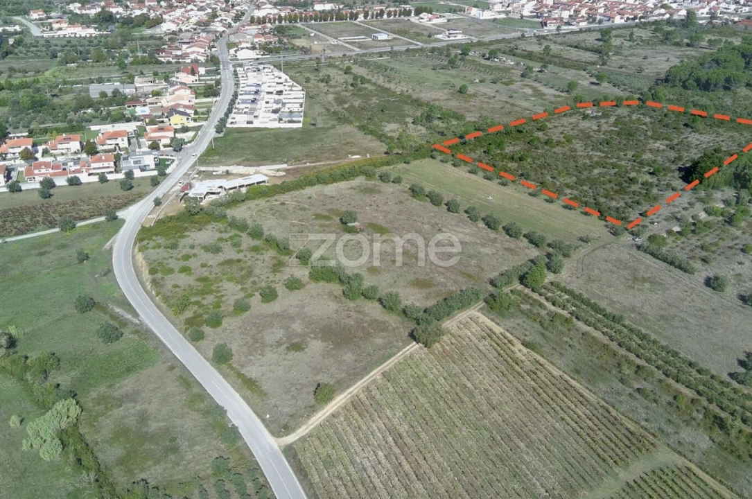 Terreno para Venda em Cantanhede e Pocariça Foto 14