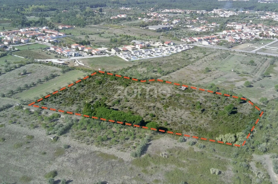 Terreno para Venda em Cantanhede e Pocariça Foto 1