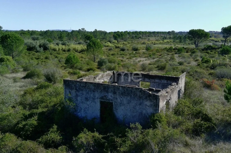 Terreno para Venda em Cantanhede e Pocariça Foto 12