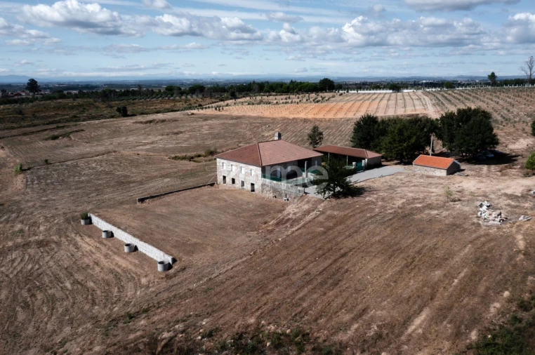 Quinta T10 para Venda em Sameice e Santa Eulália Foto 7