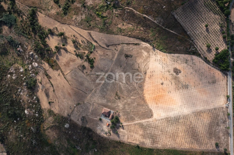 Quinta T10 para Venda em Sameice e Santa Eulália Foto 9