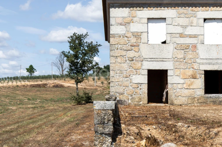 Quinta T10 para Venda em Sameice e Santa Eulália Foto 28