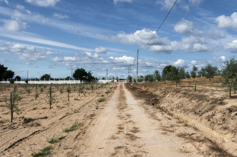 Quinta T10 para Venda em Sameice e Santa Eulália Foto 35