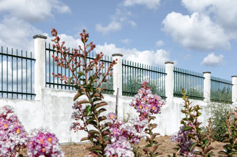 Quinta T10 para Venda em Sameice e Santa Eulália Foto 36