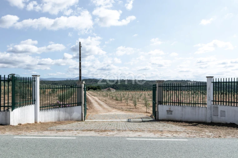 Quinta T10 para Venda em Sameice e Santa Eulália Foto 37