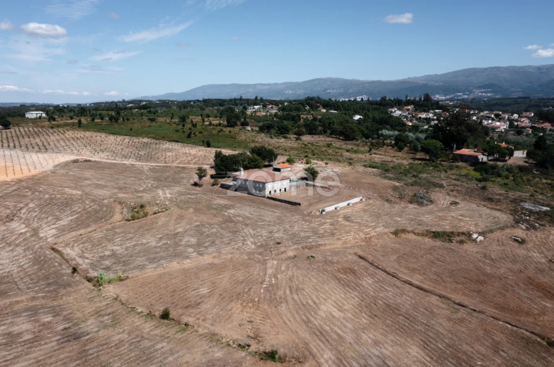 Quinta T10 para Venda em Sameice e Santa Eulália Foto 3