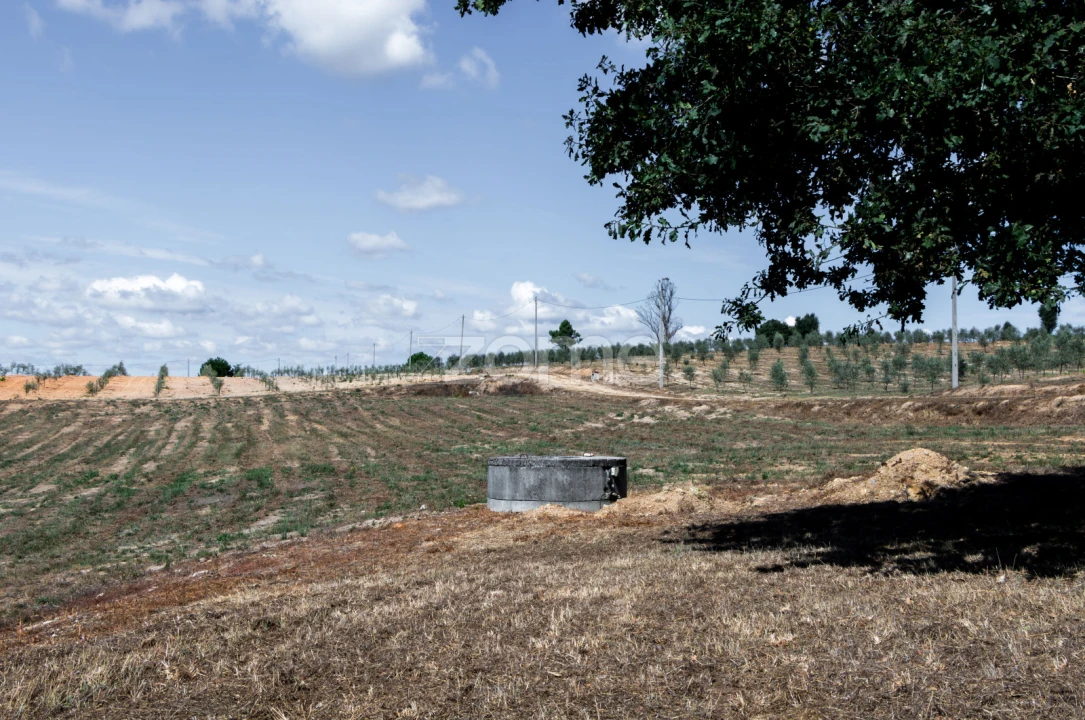 Quinta T10 para Venda em Sameice e Santa Eulália Foto 24
