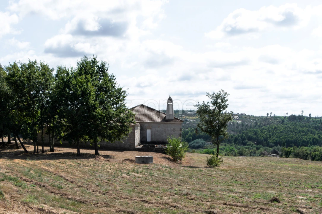 Quinta T10 para Venda em Sameice e Santa Eulália Foto 33