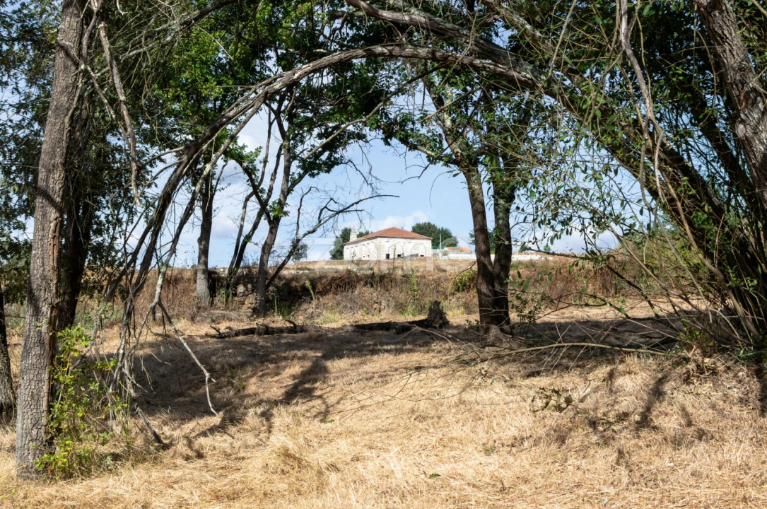 Quinta T10 para Venda em Sameice e Santa Eulália Foto 38