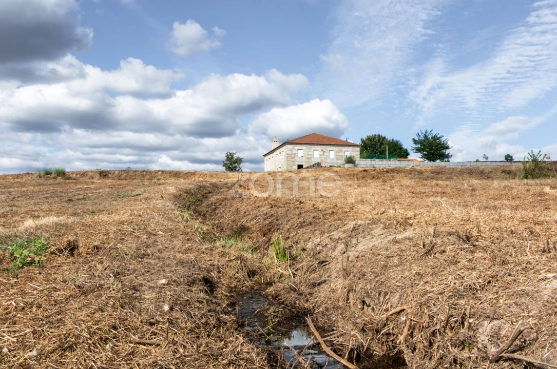 Quinta T10 para Venda em Sameice e Santa Eulália Foto 40