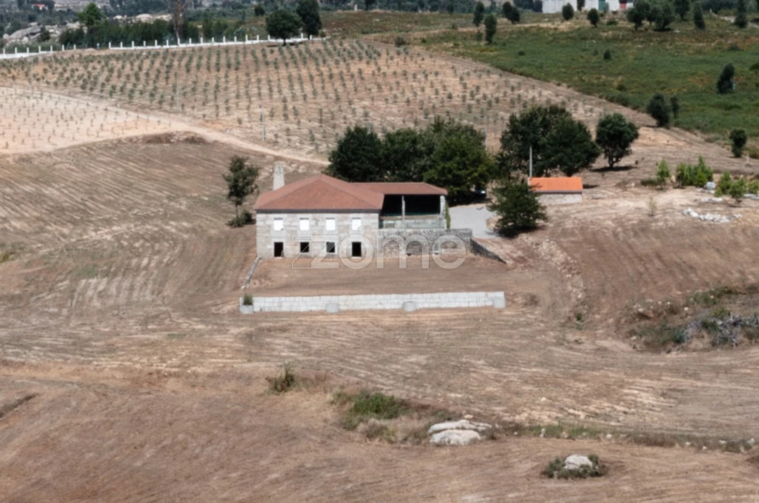 Quinta T10 para Venda em Sameice e Santa Eulália Foto 2