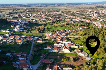 Terreno para Venda em São Martinho do Bispo e Ribeira de Frades