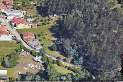 Terreno para Venda em São Martinho do Bispo e Ribeira de Frades