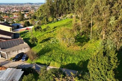 Terreno para Venda em São Martinho do Bispo e Ribeira de Frades