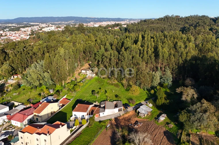 Terreno para Venda em São Martinho do Bispo e Ribeira de Frades Foto 8