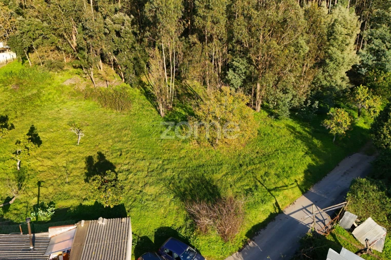 Terreno para Venda em São Martinho do Bispo e Ribeira de Frades Foto 10