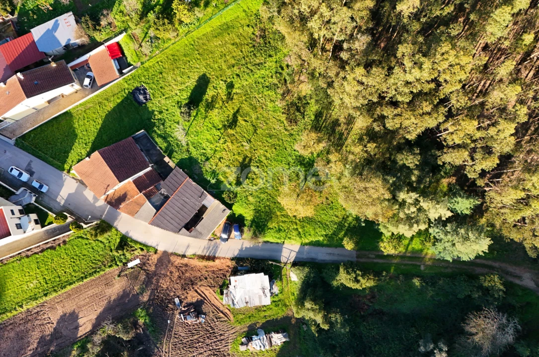 Terreno para Venda em São Martinho do Bispo e Ribeira de Frades Foto 4