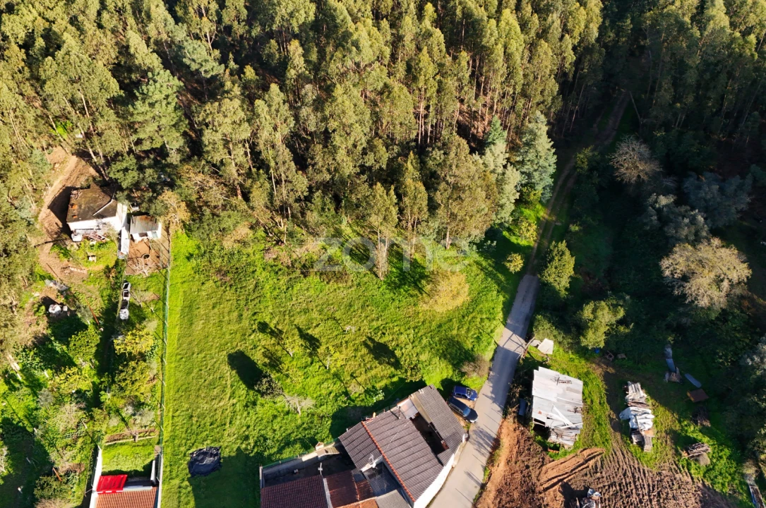 Terreno para Venda em São Martinho do Bispo e Ribeira de Frades Foto 6