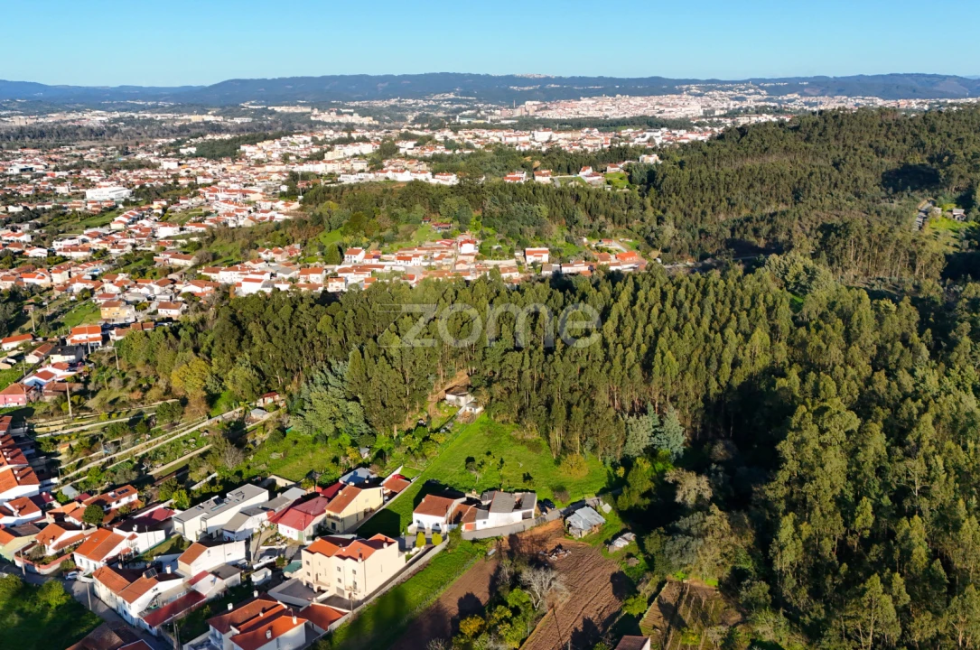 Terreno para Venda em São Martinho do Bispo e Ribeira de Frades Foto 7