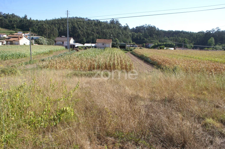 Terreno para Venda em Trofa, Segadães e Lamas do Vouga Foto 2