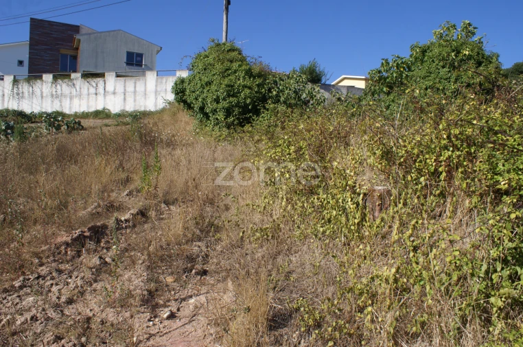 Terreno para Venda em Trofa, Segadães e Lamas do Vouga Foto 1