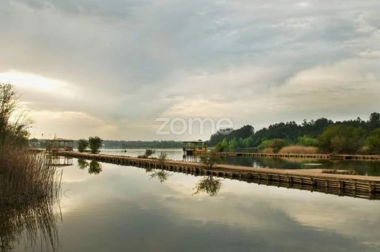 Terreno para Venda em Trofa, Segadães e Lamas do Vouga Foto 11