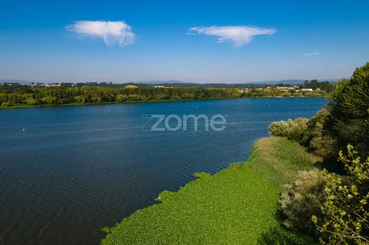 Terreno para Venda em Trofa, Segadães e Lamas do Vouga Foto 16