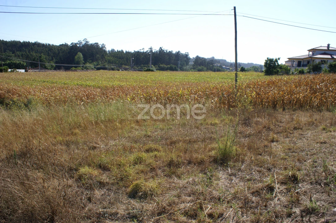 Terreno para Venda em Trofa, Segadães e Lamas do Vouga Foto 4
