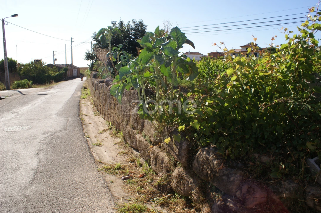 Terreno para Venda em Trofa, Segadães e Lamas do Vouga Foto 5