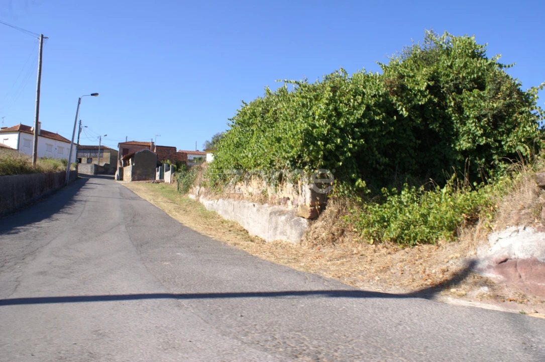Terreno para Venda em Trofa, Segadães e Lamas do Vouga Foto 7