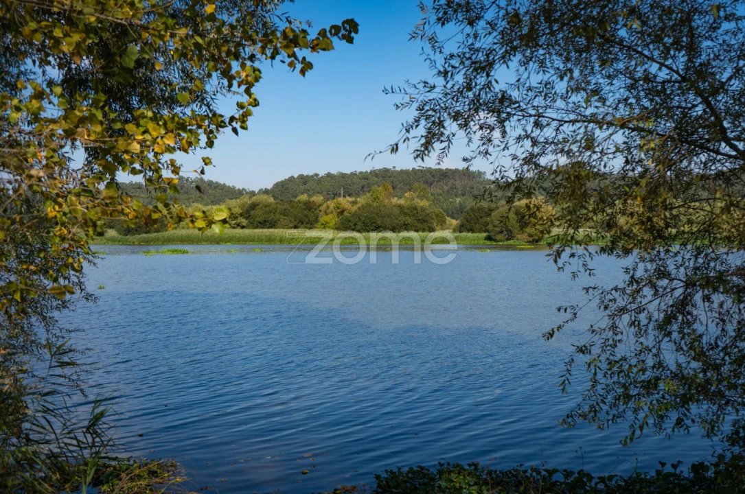 Terreno para Venda em Trofa, Segadães e Lamas do Vouga Foto 14