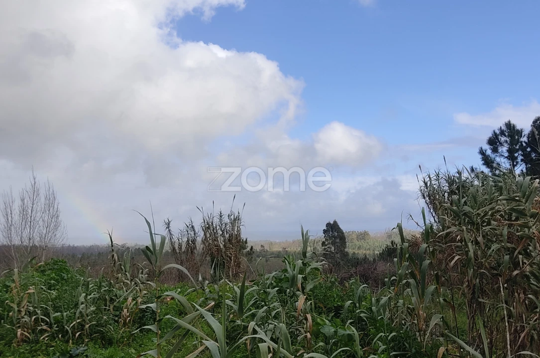Terreno para Venda em Caxarias Foto 13
