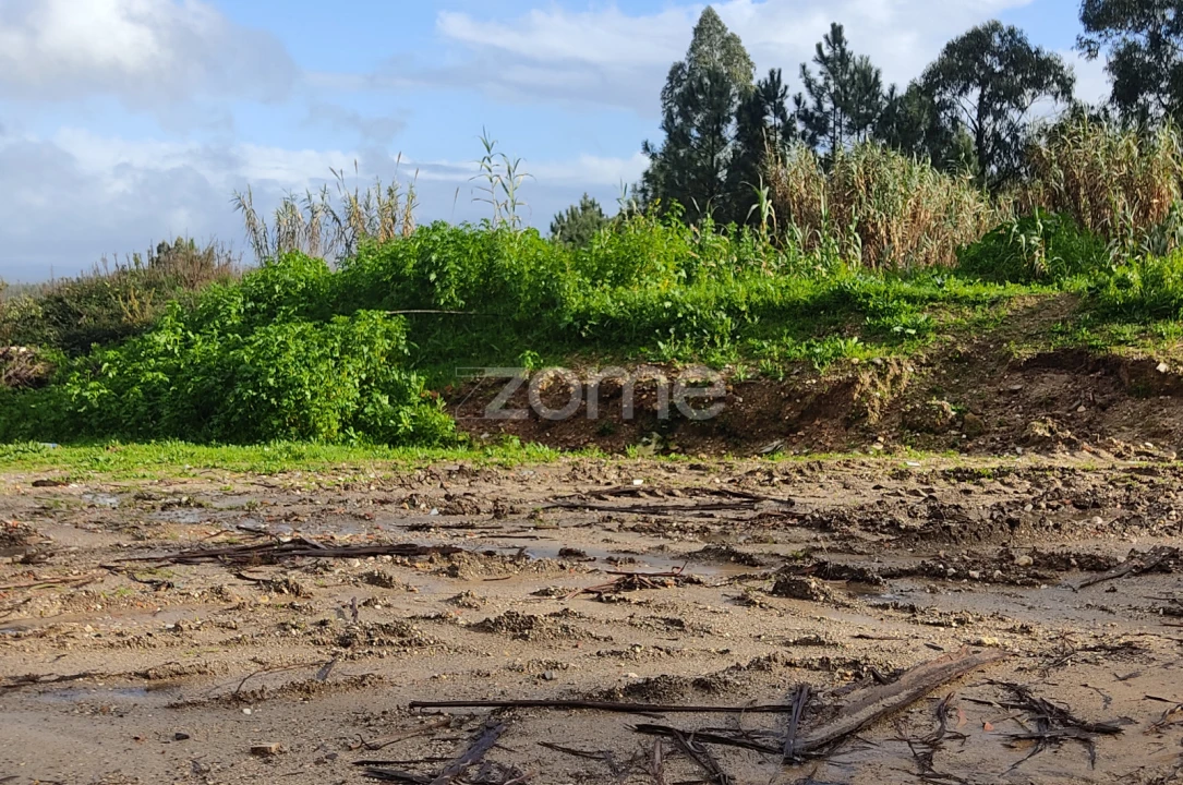 Terreno para Venda em Caxarias Foto 6