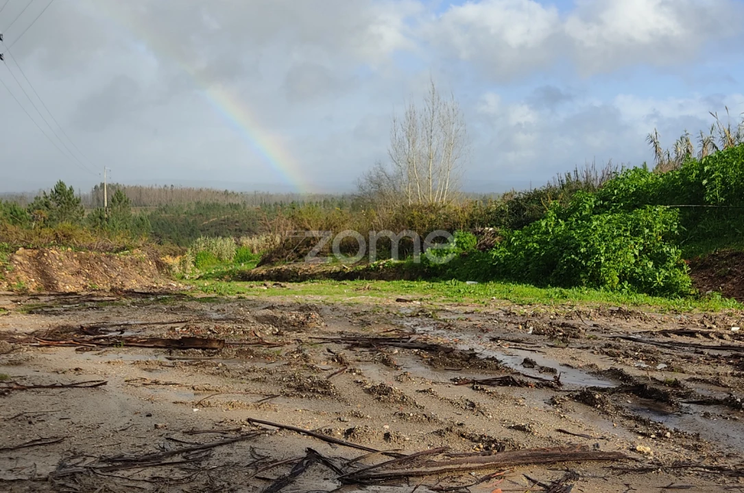 Terreno para Venda em Caxarias Foto 15