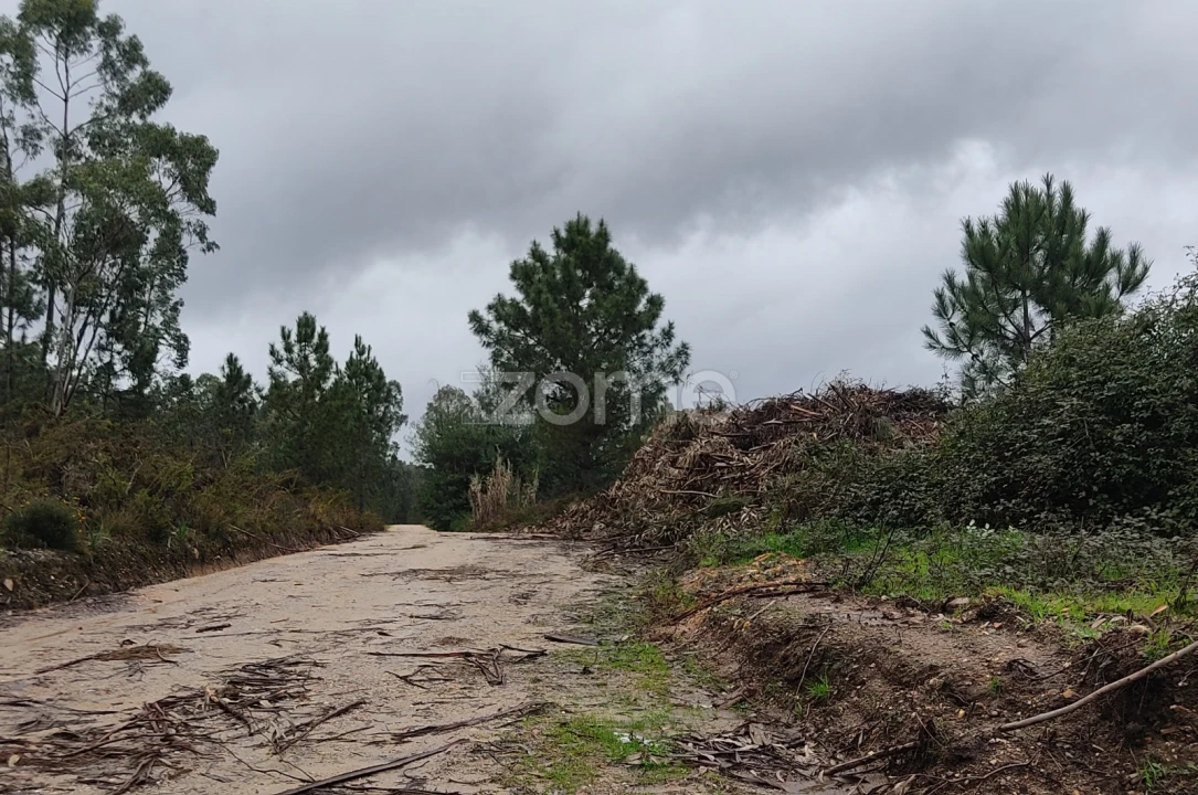 Terreno para Venda em Caxarias Foto 10