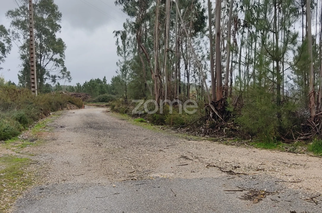Terreno para Venda em Caxarias Foto 9