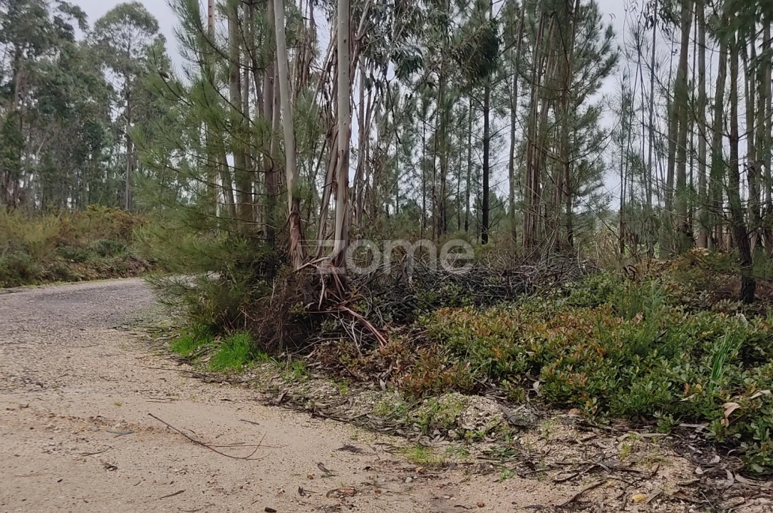 Terreno para Venda em Caxarias Foto 11