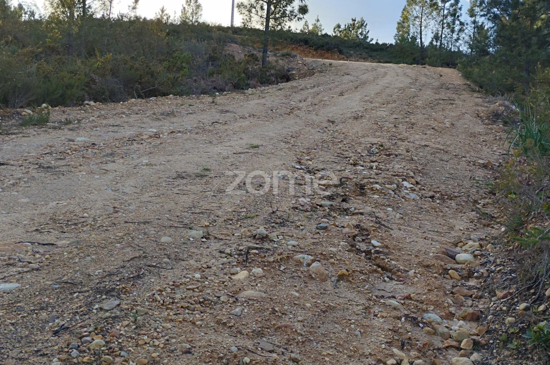 Terreno para Venda em Caxarias Foto 20