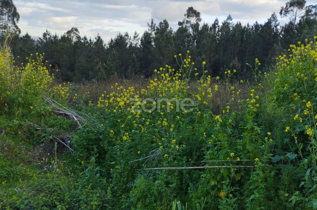 Terreno para Venda em Caxarias Foto 21