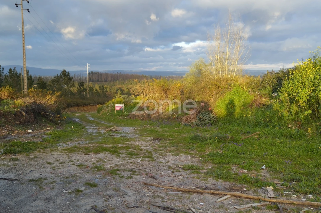 Terreno para Venda em Caxarias Foto 22