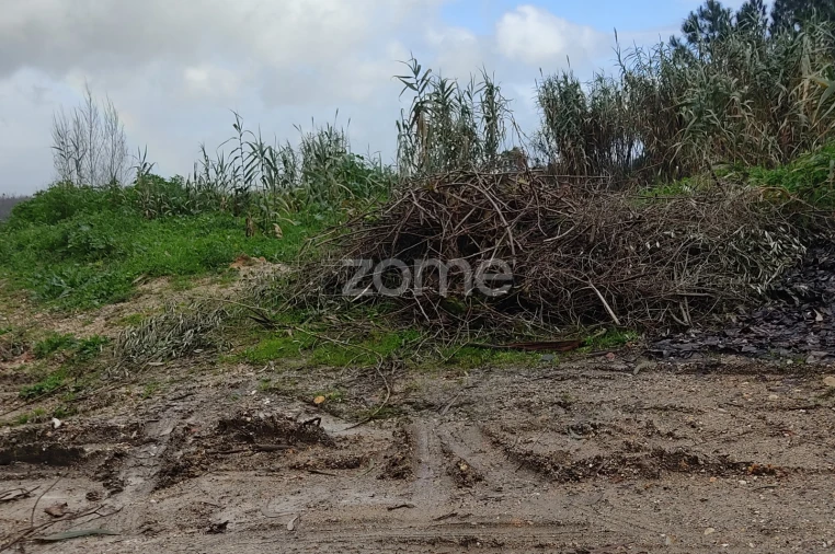 Terreno para Venda em Caxarias Foto 16