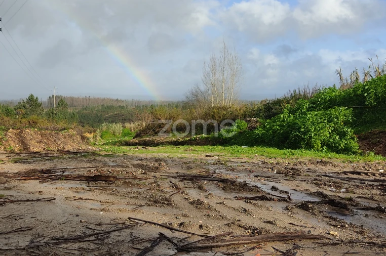 Terreno para Venda em Caxarias Foto 2